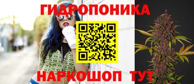 прущая мука Кулебаки